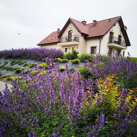 Apartamenty, Zielone Wzgórze Wiktora w Mikołajkach Mikołajki Exterior foto