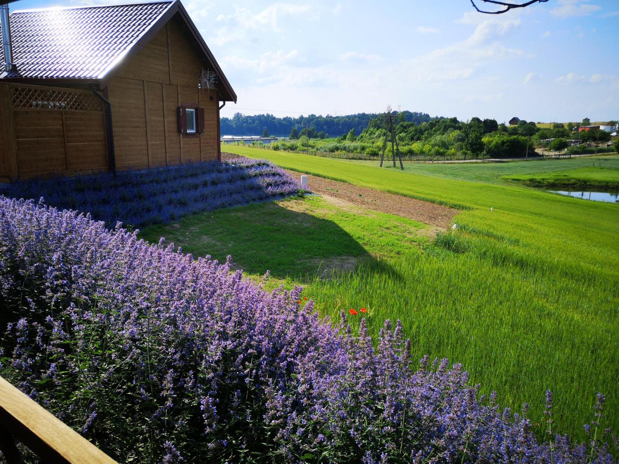 Apartamenty, Zielone Wzgórze Wiktora w Mikołajkach Mikołajki Quarto foto